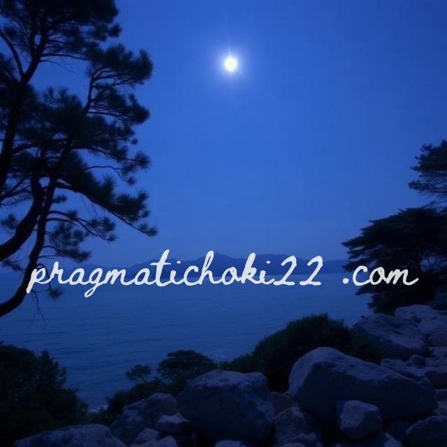 pragmatichoki22 .com